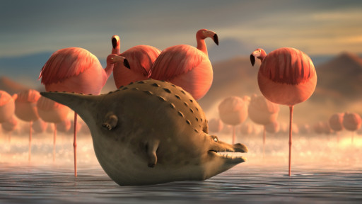 Rollin' Safari - Flamingos
