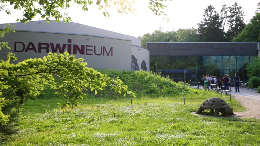 Kurzfilmtag im Zoo Rostock